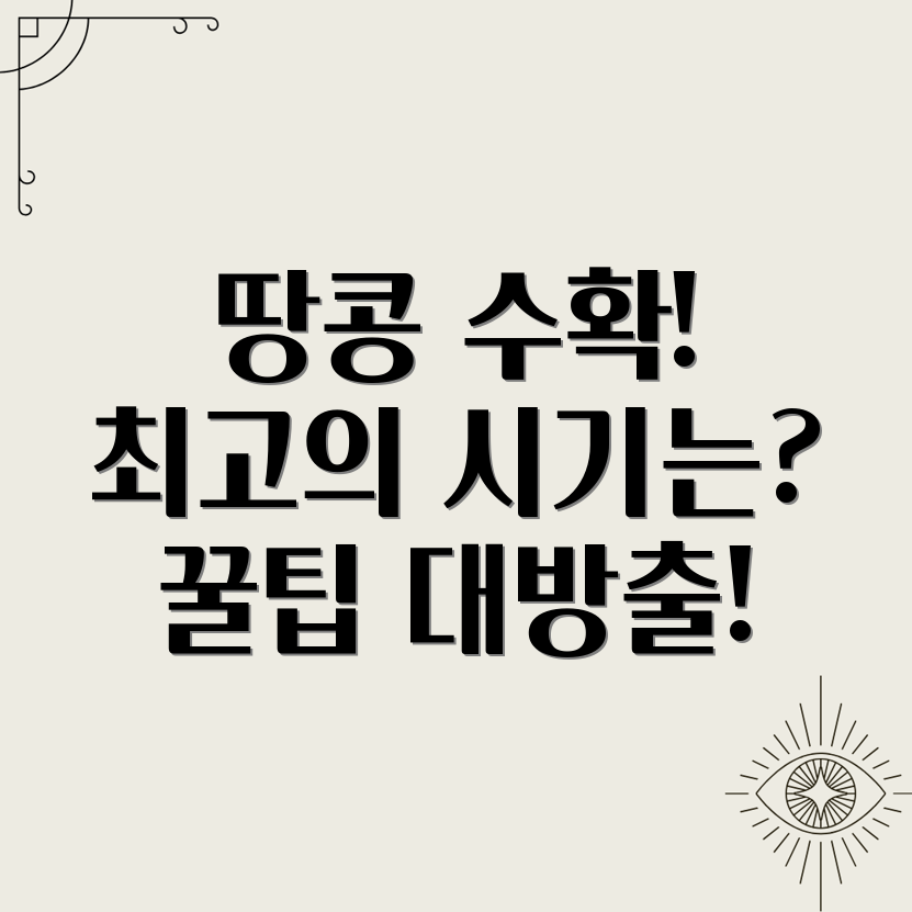 땅콩수확시기