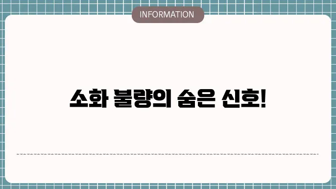소화 안될때 증상