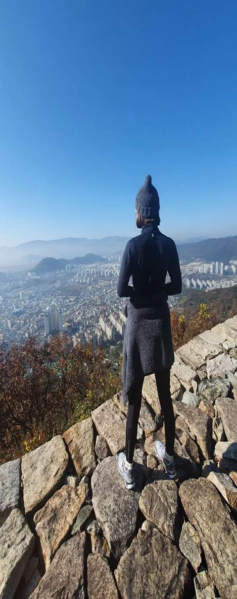 분성산