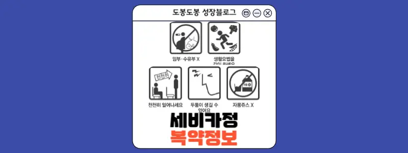 세비카정 복약 정보 이미지