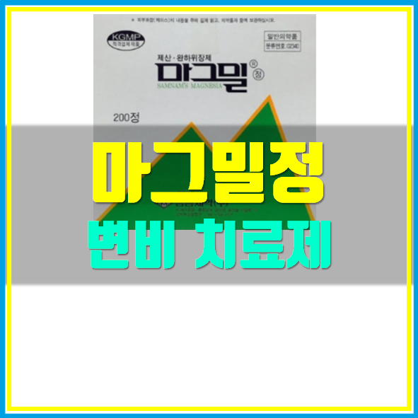  마그밀정 500mg  변비약 복용법