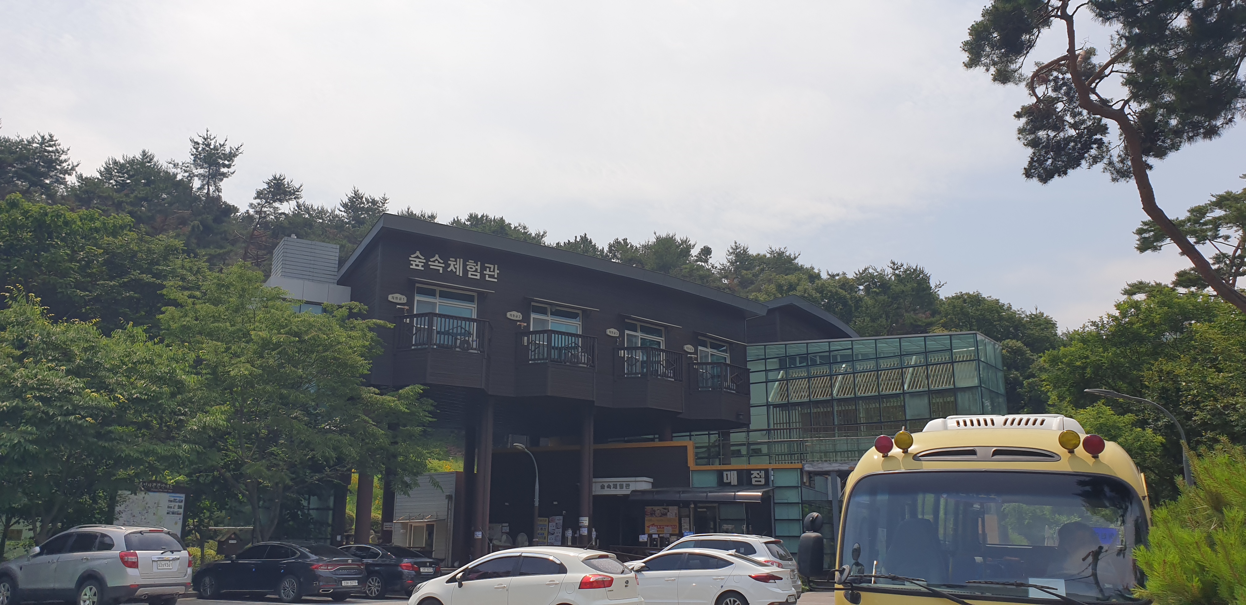 용인자연휴양림