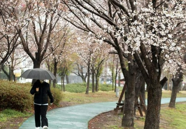  모레까지 많은 비 온다...“하천·계곡 등 접근 자제"
