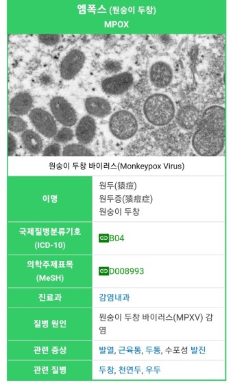  국내 '엠폭스'몽키팍스 바이러스 감염 3명 추가 확진