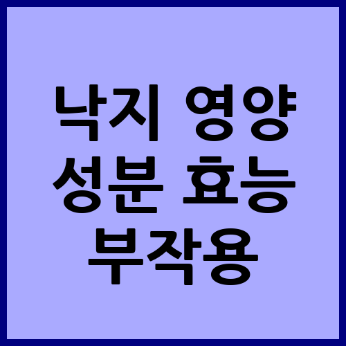 낙지 영양 성분