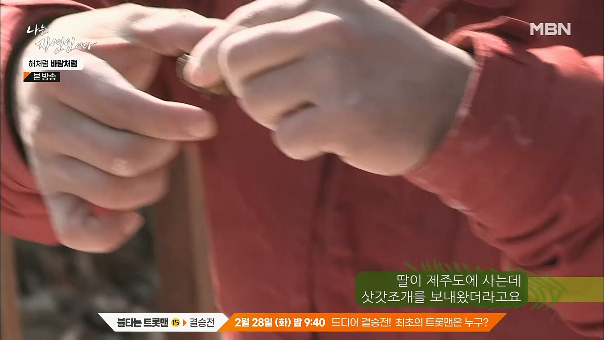 나는 자연인이다.E542.230222p.H264-F1RST.mp4_20230223_195904.146.jpg