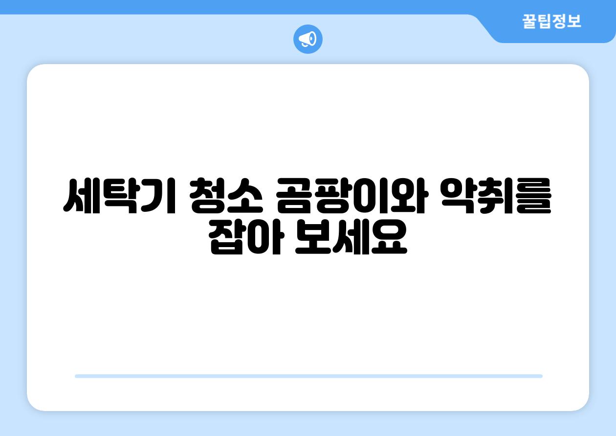 세탁기 청소 곰팡이와 악취를 잡아 보세요