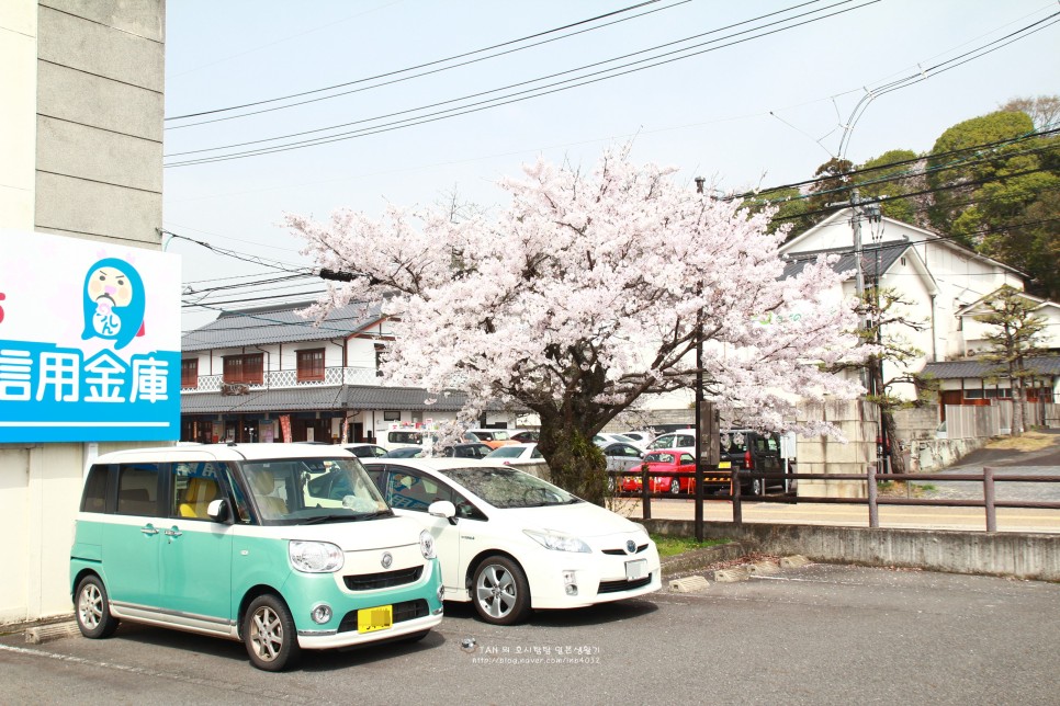 순위 상위권을 장악한 국가의 경차가 판매 21