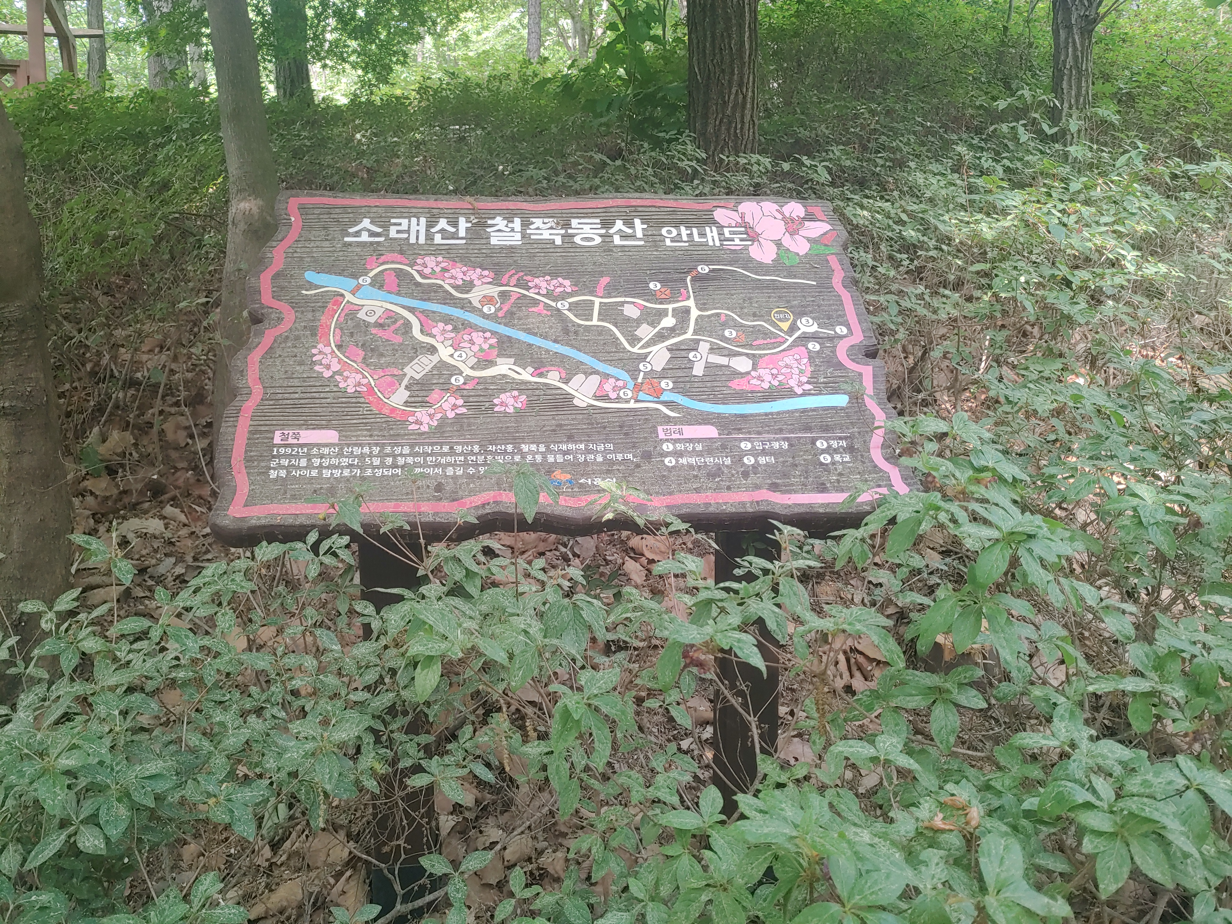 소래산 산행길