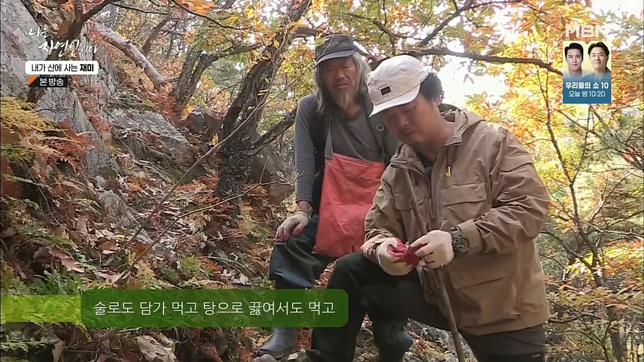 나는 자연인이다.E529.221124p.H264-F1RST.mp4_20221124_194729.116.jpg