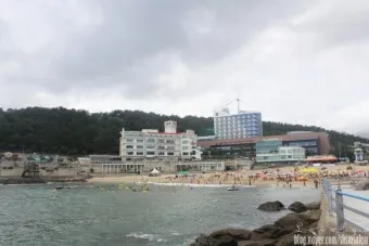 경남 사천 청룡사 겹벚꽃축제 2025 일정_14