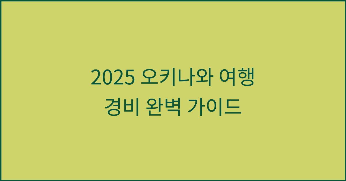 2025 오키나와 여행 경비
