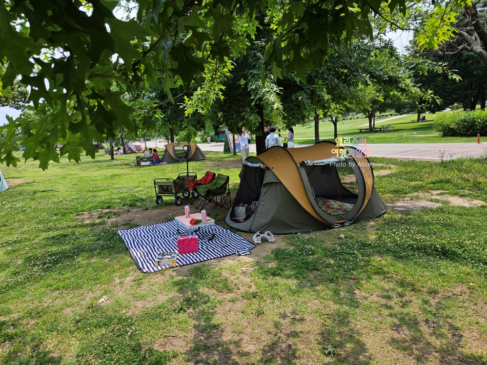 여의도 한강공원 피크닉 텐트 데이트 대여 후기 가격