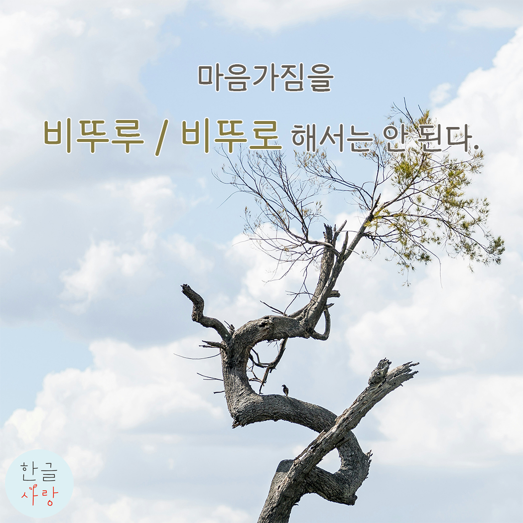  비뚜로 / 비뚜루, 삐뚜로 / 삐뚜루 무엇이 맞을까요?