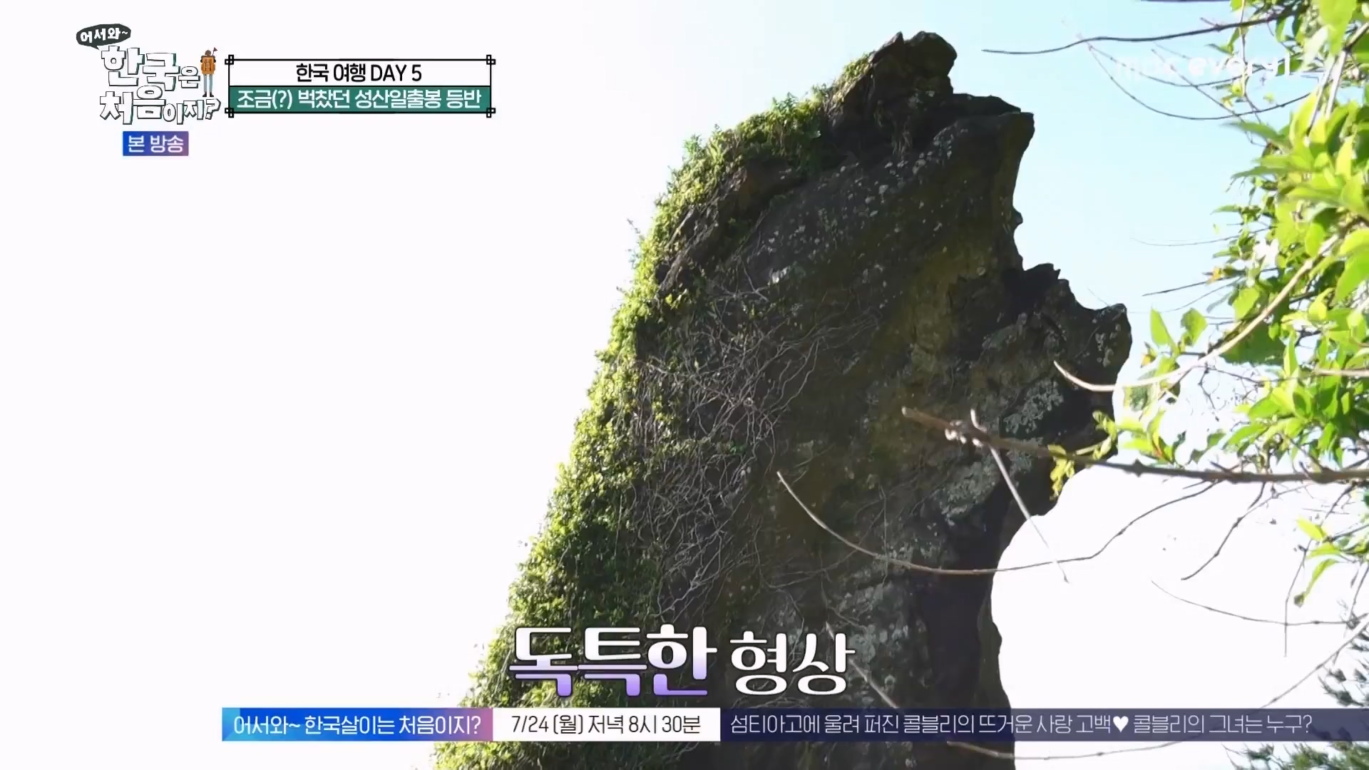 어서와 한국은 처음이지.E272.230720p.WANNA.mp4_20230722_180704.477.jpg