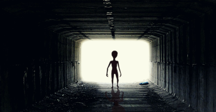 꿈
