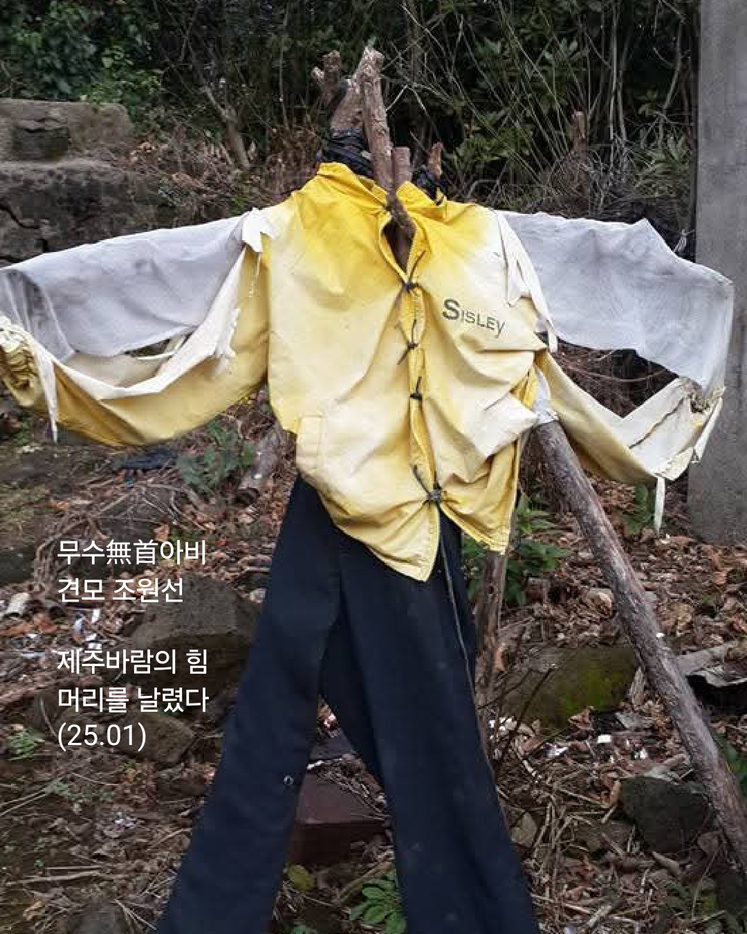 아비지 이미지