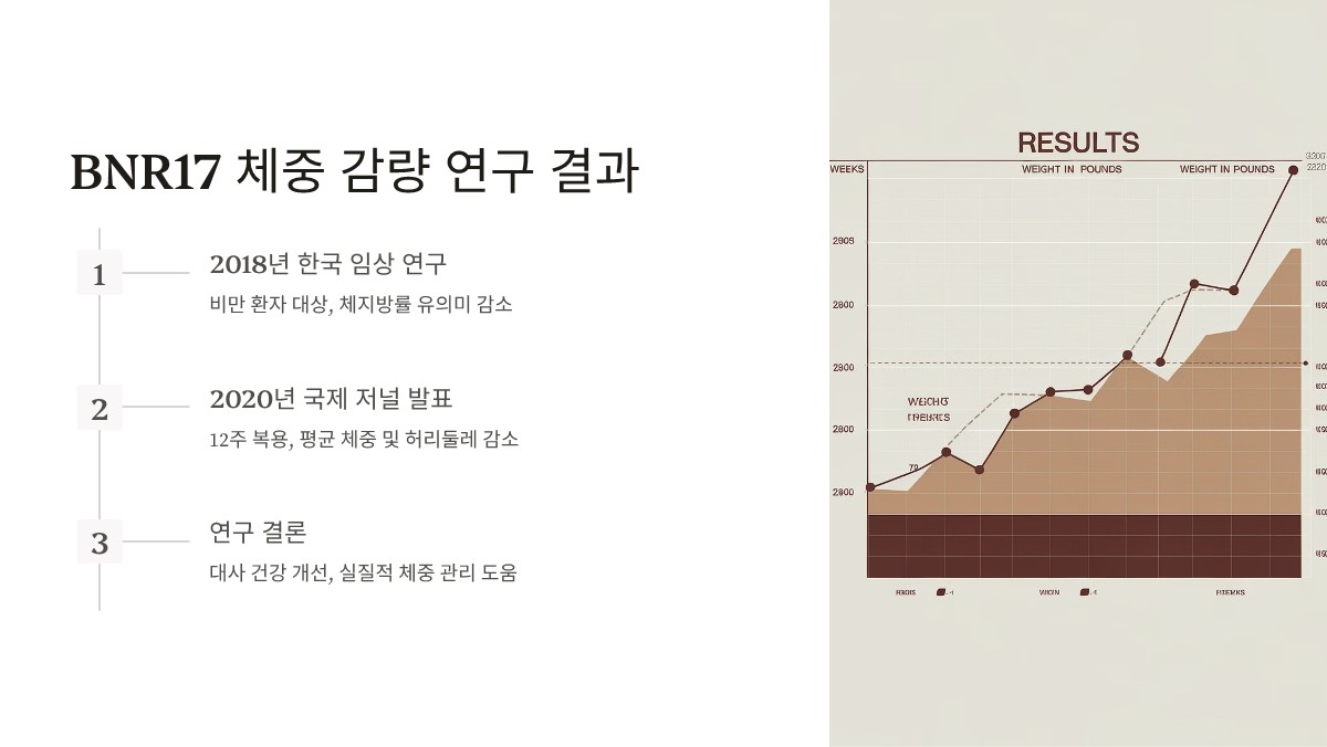 BNR17의 다이어트 효과