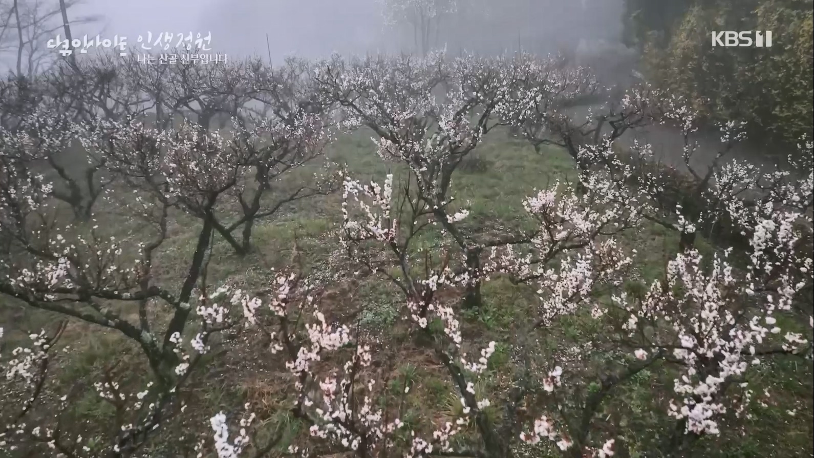 다큐 인사이트.E153.230608p.H264-F1RST.mp4_20230612_204056.628.jpg