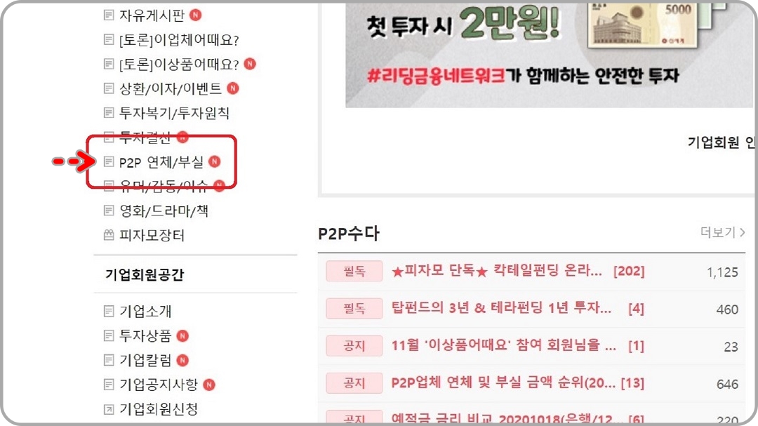 P2P-연체/부실-항목