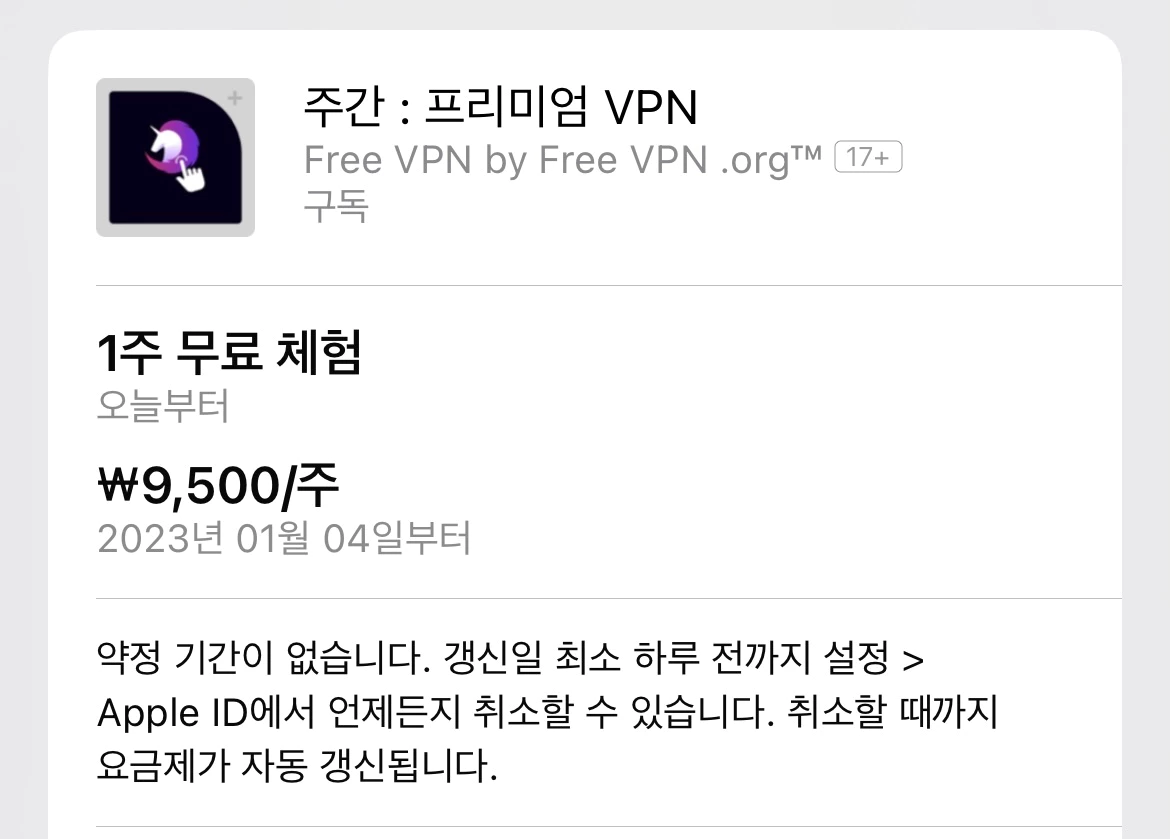 VPN 구독