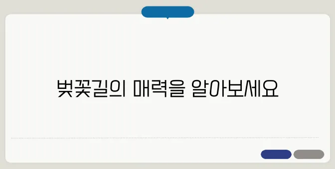 벚꽃 드라이브 명소 추천! 전국 벚꽃길 BEST 7