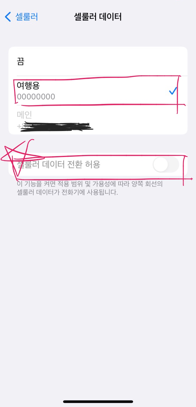 e-sim 설명 사진