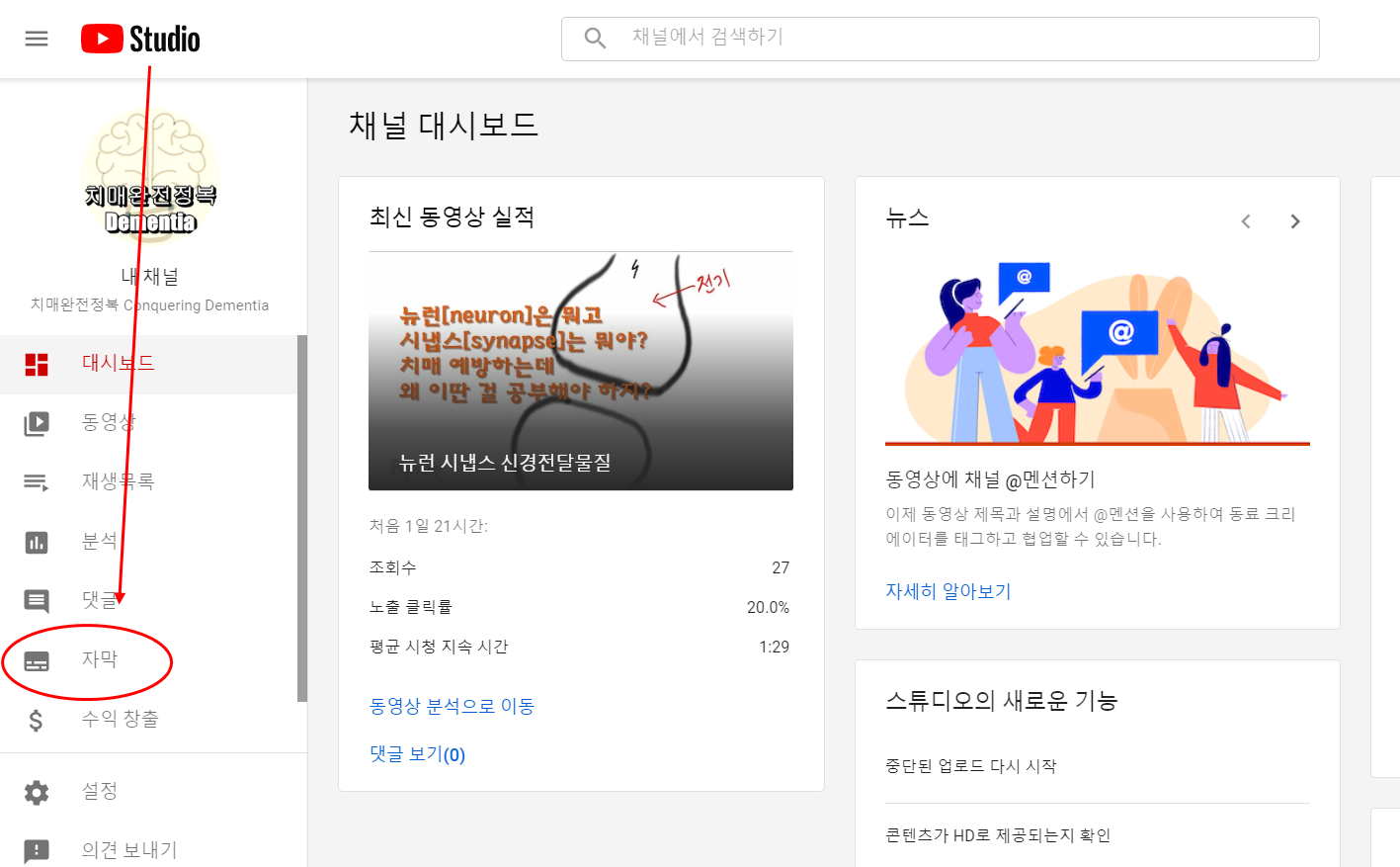  유튜브 자동 자막 기능 이용해서, 영상에 자막 넣기
