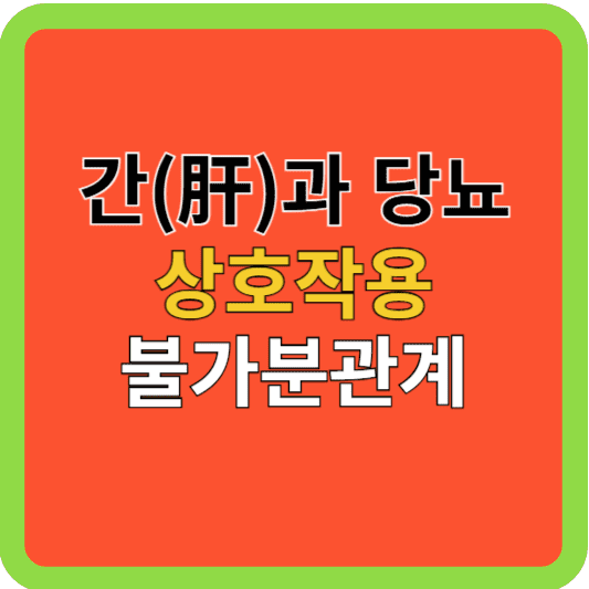 간(肝)과 당뇨 상호작용, 불가분 관계