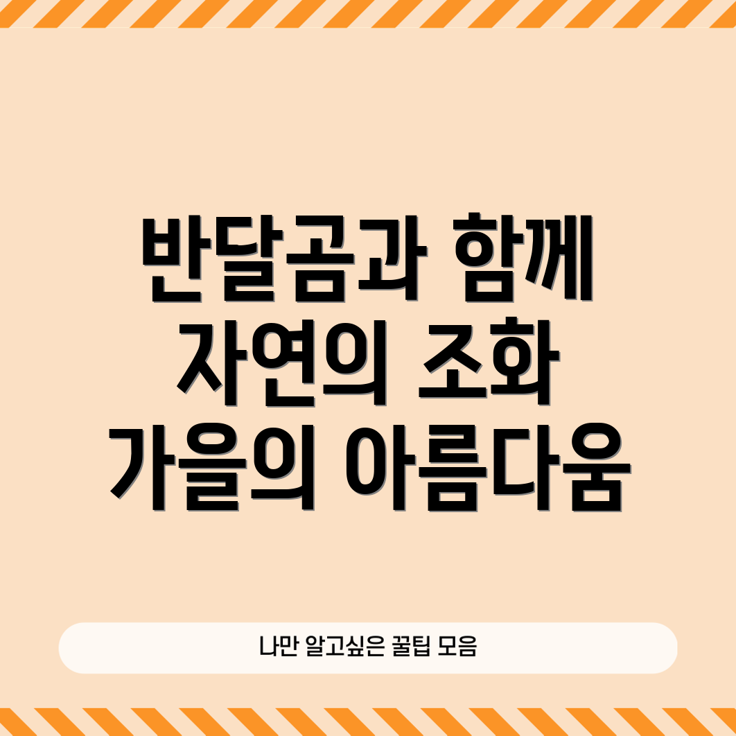 반달곰과 단풍나무의 조화