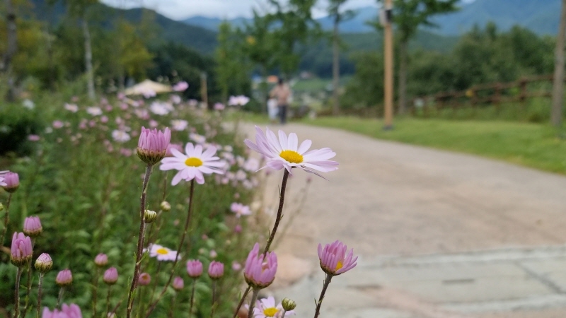 백두대간수목원