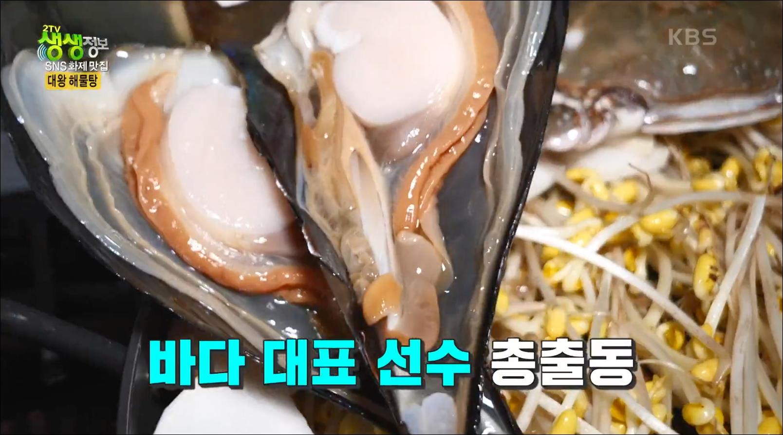  [TV속맛집] 경기도 오산시 왕해물탕 맛집 모해 #13종의 해산물과 소고기 왕해물탕 #오산시 왕해물탕 맛집 모해 #2TV 생생정보 - 1210회 방영