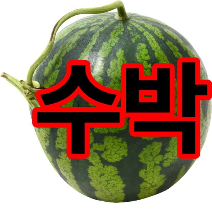  맛있는 수박의 효능 및 맛있는 수박 고르기