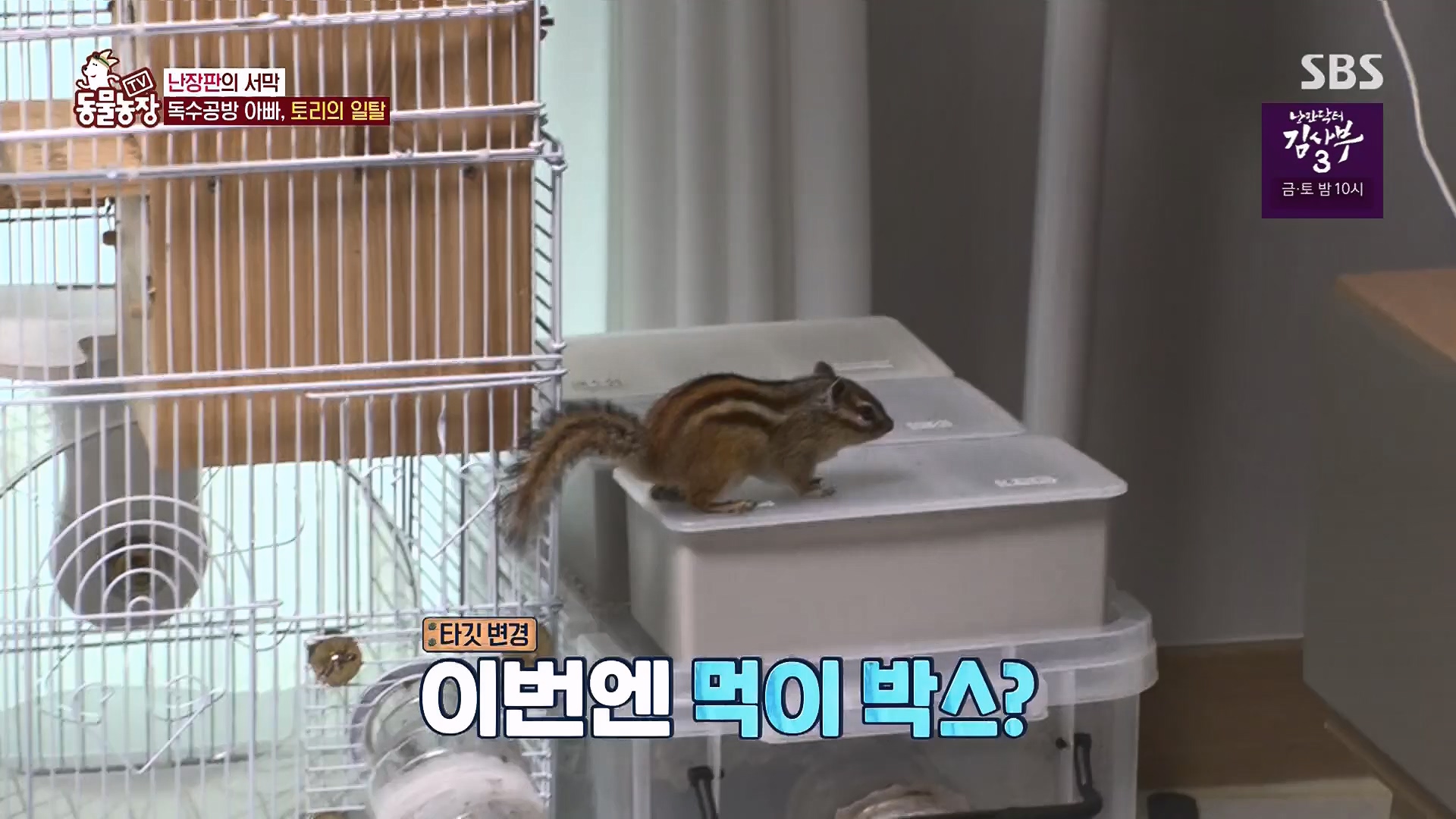 TV 동물농장.E1118.230430p.H264-F1RST.mp4_20230430_172352.047.jpg