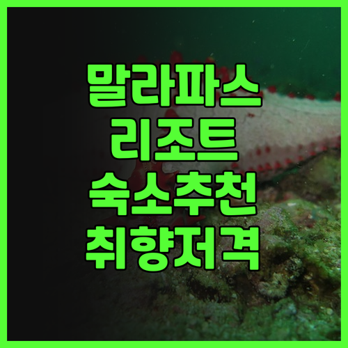 말라파스쿠아 리조트 완벽 분석! 당신
