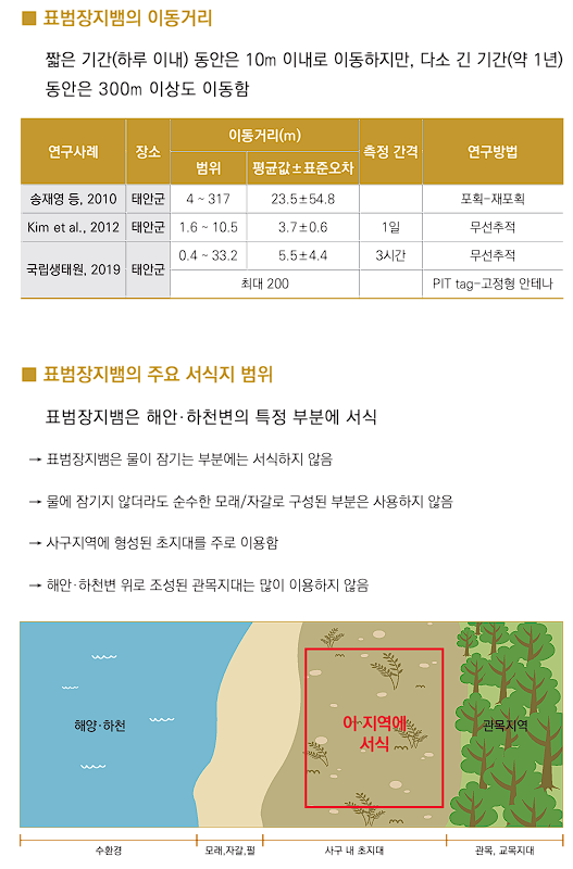 표범장지뱀 대체서식지-2