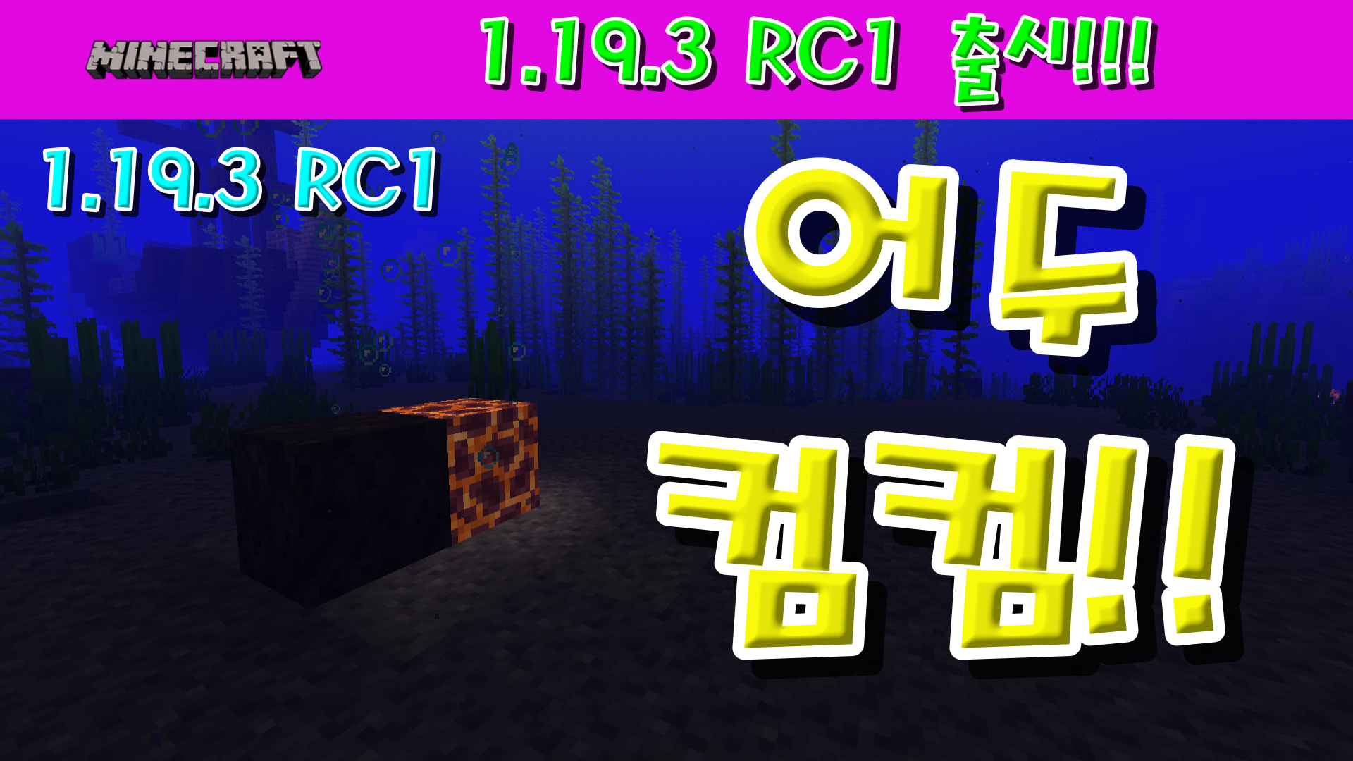  마인크래프트 1.19.3 RC1 출시!!!