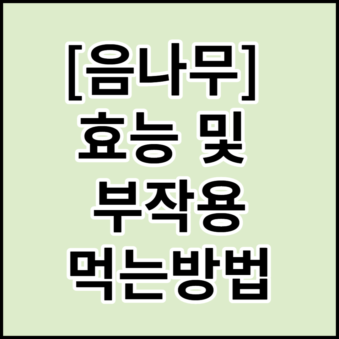  [음나무](엄나무)의 효능 및 부작용,먹는방법(조리법)