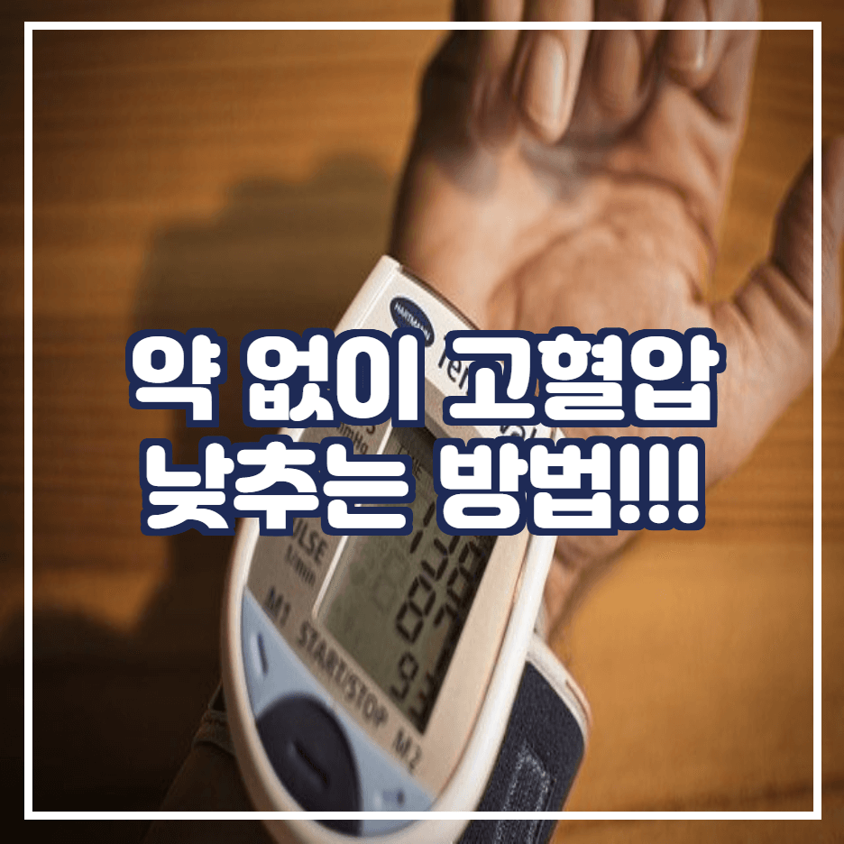  약 없이 고혈압 낮추는 방법