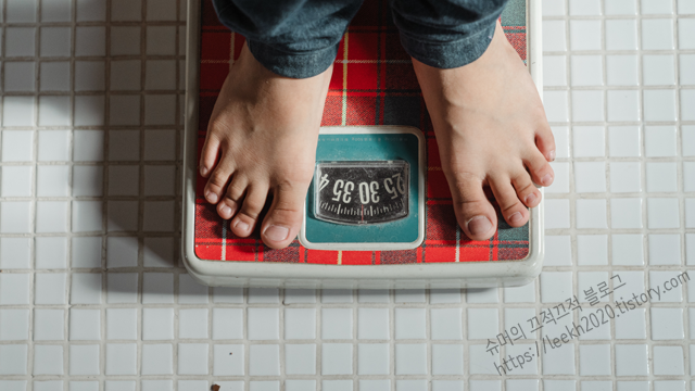 비만도 계산기 비만이 진짜 위험한 이유 건강한 다이어트 노하우