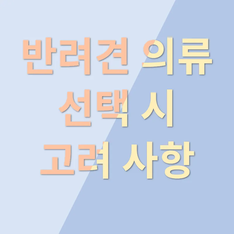 개옷추천_3