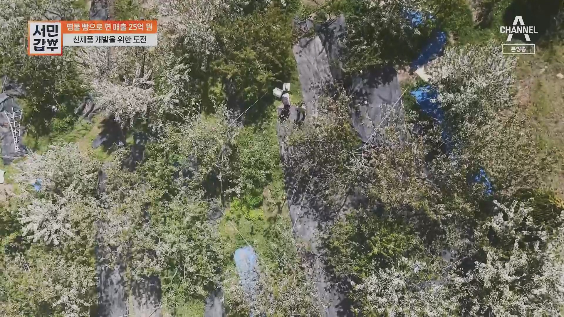 서민갑부.E435.230513p.H264-F1RST.mp4_20230516_195442.411.jpg