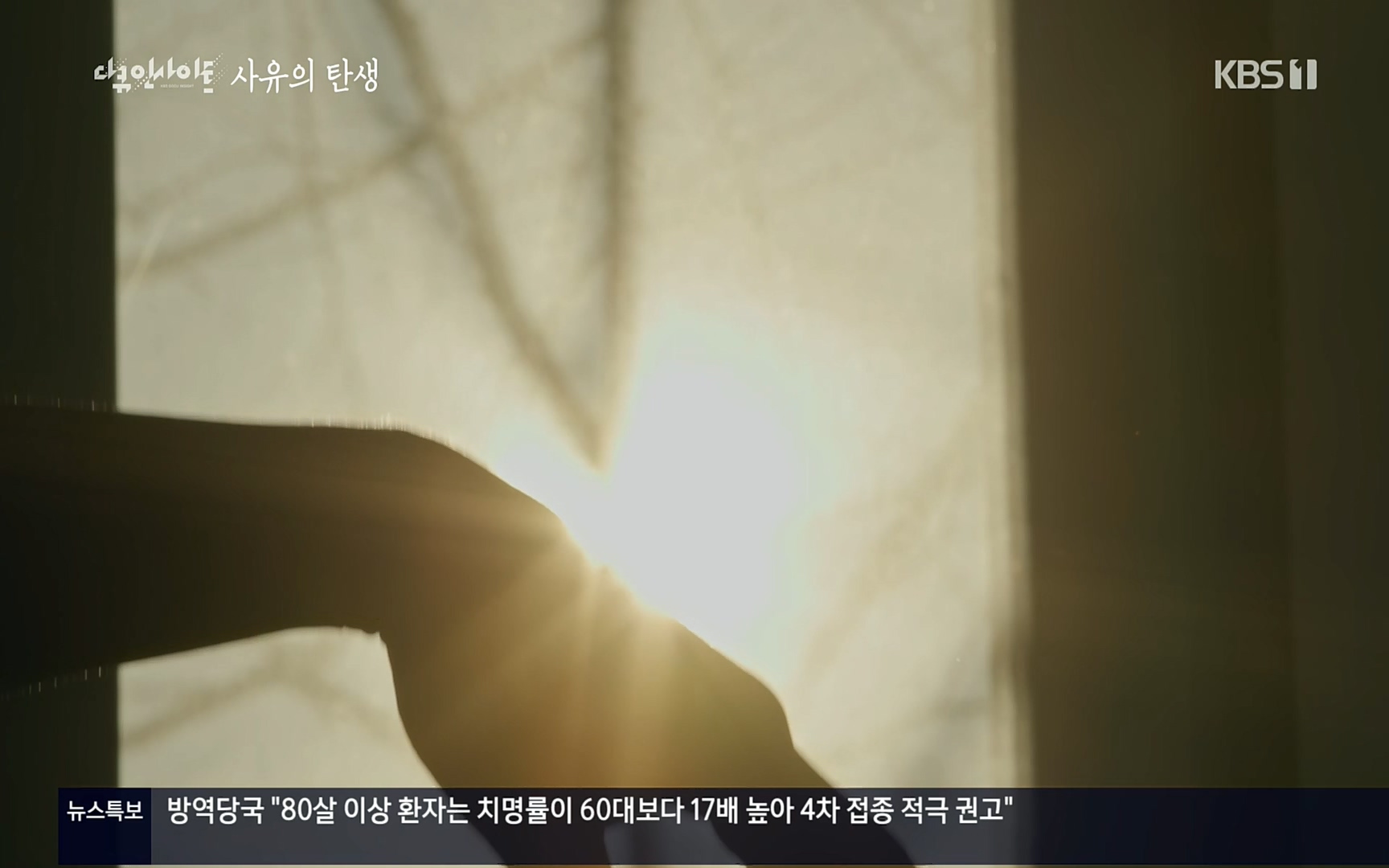 다큐 인사이트.E113.220519p.H264-F1RST.mp4_20220523_205643.243.jpg