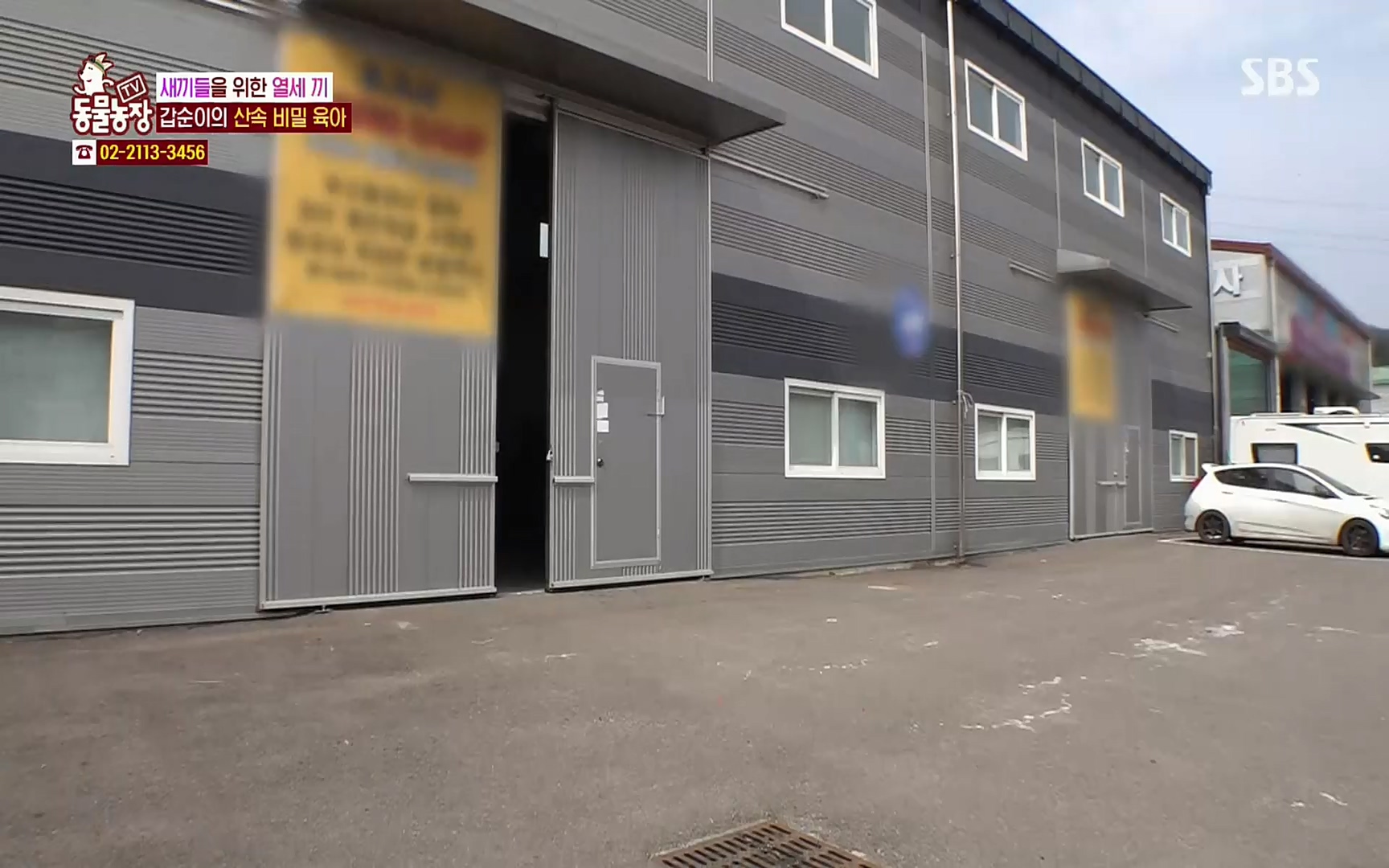 TV 동물농장.E1064.220410p.H264-F1RST.mp4_20220410_185001.399.jpg