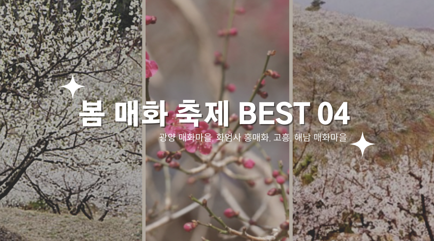 봄 매화 축제 BEST 04 광양 매화마을&#44; 화엄사 홍매화&#44; 고흥&#44; 해남 매화마을