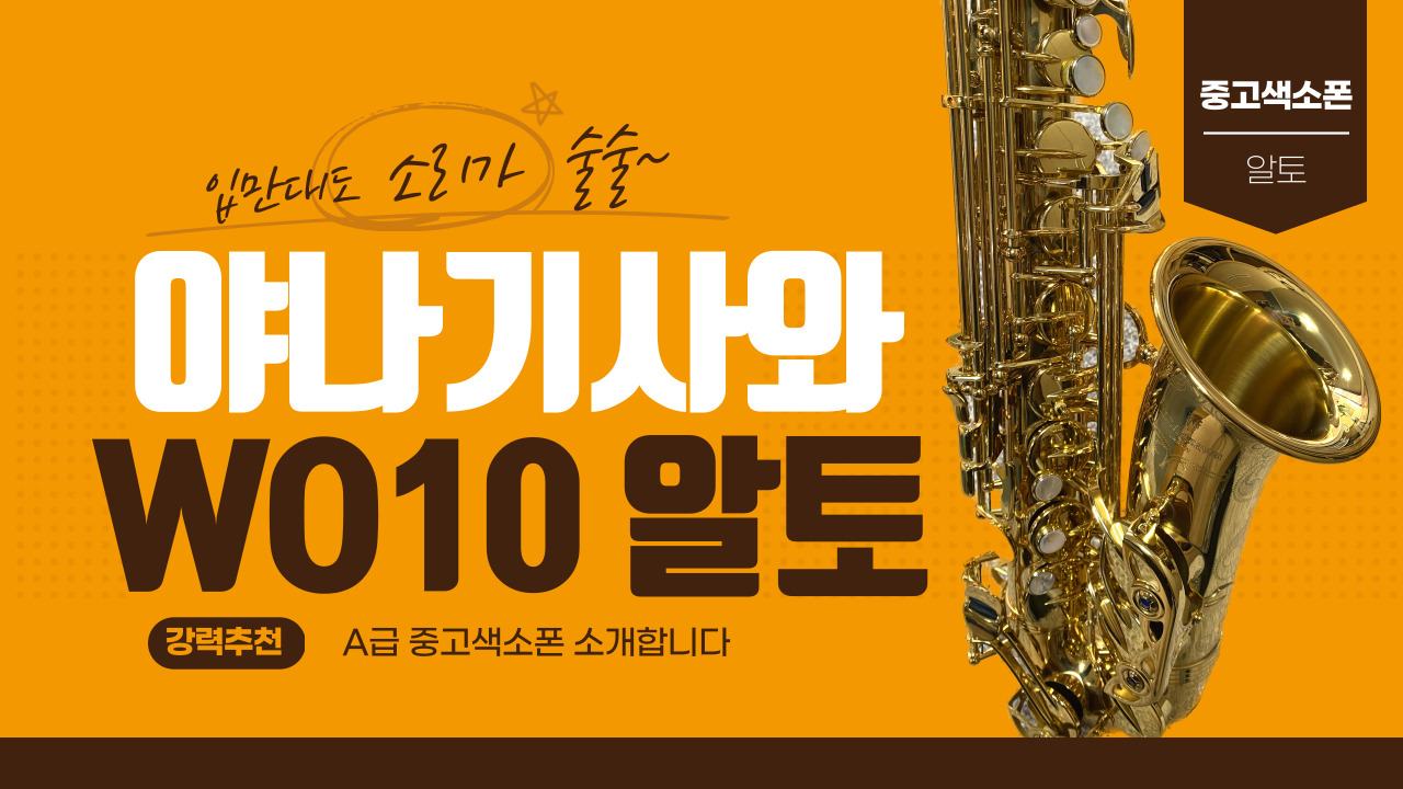 야나기사와 WO10 알토색소폰 중고 메인