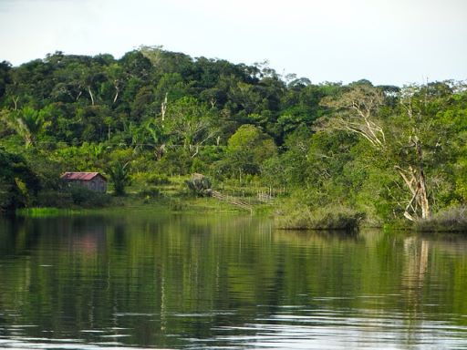 아마존강 사진