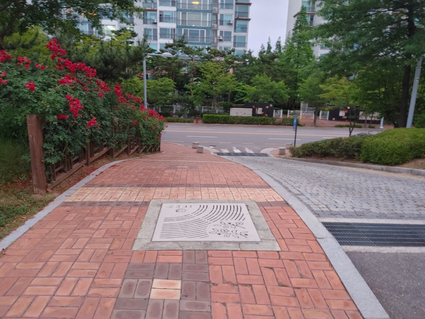  인천 송도 "해돋이공원" 산책하기 정말 좋아