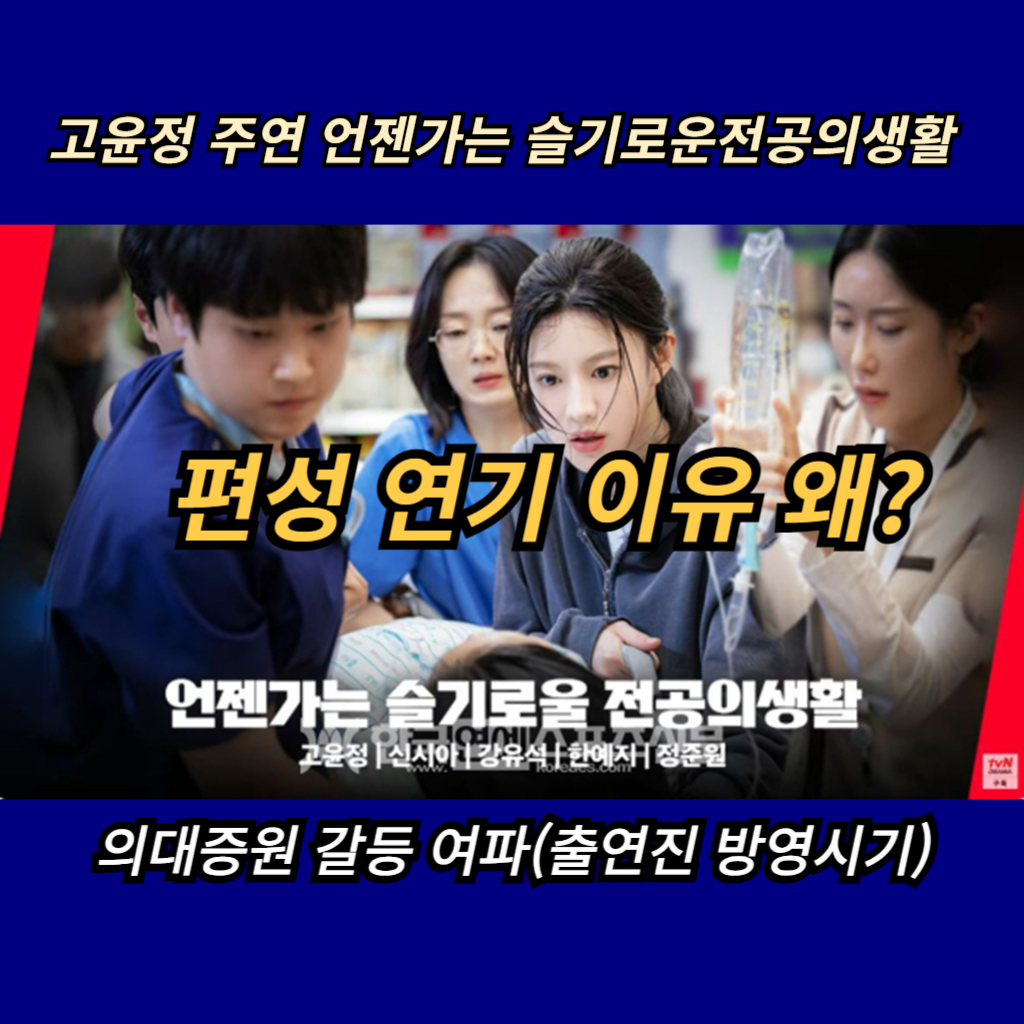  고윤정 주연 언젠가는 슬기로운전공의생활 편성 연기 이유 왜? 의대증원 갈등 여파(출연진 방영시기)