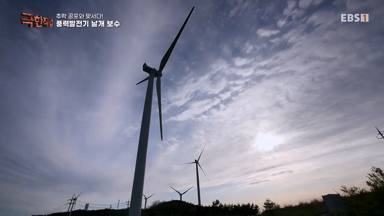 TV - 전 국민의 평생학교 EBS추락 공포와 맞서다! 고공 작업자.mp4_20240604_204121.753.jpg